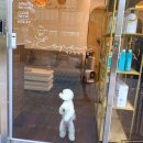 에스쁘아미용실 이미지