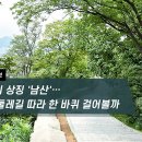 [하루만보]서울의 상징 '남산'…둘레길 따라 한 바퀴 걸어볼까 이미지