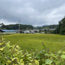 산북로(북후면) 이미지