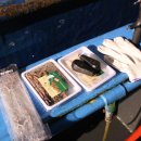 인천유선 이미지