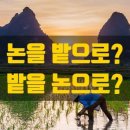 보리농장 이미지