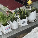 구암동288 | 대전 샤브샤브 1황 ! 장원갑 칼국수 방문 후기