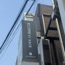 이대 미용실 복구매직 추천 | 에코레비헤어 이대점 (두피 및 모발 관리, 원킬 보톡스 복구케어)