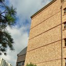 인천도림초등학교 이미지