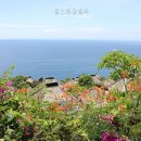 힐스톤애견풀빌라 | 힐스톤풀빌라 예약 기준이 또렷해 좋았던 포인트