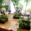 플로리스트 고급 이미지