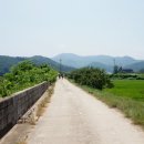 남진축산 Daum카페
