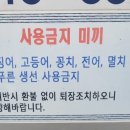 미끼스토어낚시바보