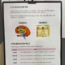 두뇌기반상담 가능한 브레인통합헬스센터 방문 후기