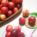 호준농장2 이미지