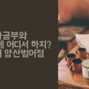 로보티머 범어점