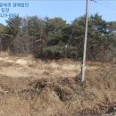 송동면 내사촌마을 네이버블로그