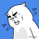 항장외과 네이버블로그