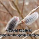 버들민박 - 양양군 버들골길 117-1 | 버들민박