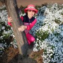 의령-의령-의령-D-6 이미지