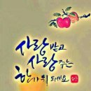 백마농장 이미지