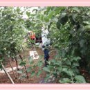 이정길농장 이미지