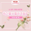 디에스유통 이미지