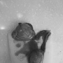 강산동물병원 이미지