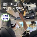 스타오토카 | 테슬라 모델3 vs 모델Y 비교 : 하남 스타필드 테슬라 스토어 후기(정부 보조금 현황, 모델3 무이자 이벤트)