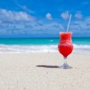 정행정사사무소 이미지