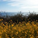 (주)산지공업사 이미지