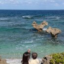 Blossom cafe(블로섬 카페) | 오키나와 3대 가족여행(w. 12개월아가 준비물)