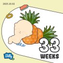 미래국제결혼사무소 | 올 것이 왔구나.. 임신 후기 기록들