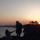 서귀포자연휴양림[동] 네이버블로그