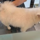 멍뷰티샵 이미지