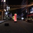 시실리5도씨