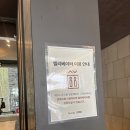 제이미의정원 | 비포원스튜디오 웨딩촬영 후기 + 제이미브라이드/애브뉴준오 고은,서희실장님