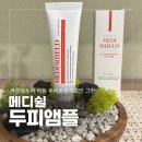 쉴 | 지루성두피 비듬 두피뾰루지 고민에 메디쉴 두피앰플 사용후기