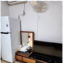 망상비치펜션Ⅱ | 동해애견동반펜션 망상해변이 바로 앞! 동해 스타비치 애견동반 펜션 후기를 남겨요