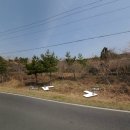 중문동-2 이미지