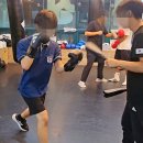 성남 탑 복싱 이미지