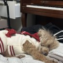 PC 데미안 | 2025년 및 고3 마무리 일기 겸 정리 겸 후기