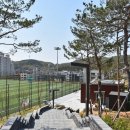 환경체육단지 축구장 이미지