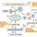 근위축성 측색 경화증(ALS:루게릭병)의 대체의료: 케톤식이요법과 칸나비노이드와 수소가스 이미지