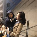 조박집투 이미지