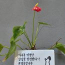 3747 | [서울 강서구 맛집 - 명동칼국수 마곡점] 마곡역 칼국수 바지락칼국수 소고기칼국수 후기