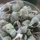 잡고굽고 이미지