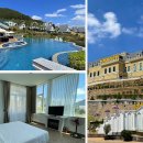 필수농장 이미지