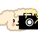 바다가쓴시 이미지