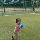 장화운동장 이미지