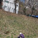 지천생태길 | 서울둘레길17코스, 북한산 은평코스 구파발역~불광역 북한산 생태공원 스탬프 난이도 중