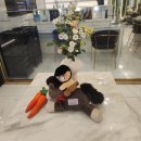 찬미미용실 | 개포동미용실 추천 C컬 펌 마끼에 타워팰리스점 찬미디자이너님 최고
