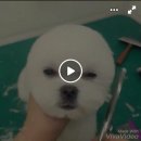 20160510 Tue. 비가온다 비가