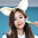 서지수 카카오 검색결과