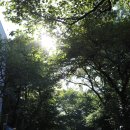 중앙동172 이미지